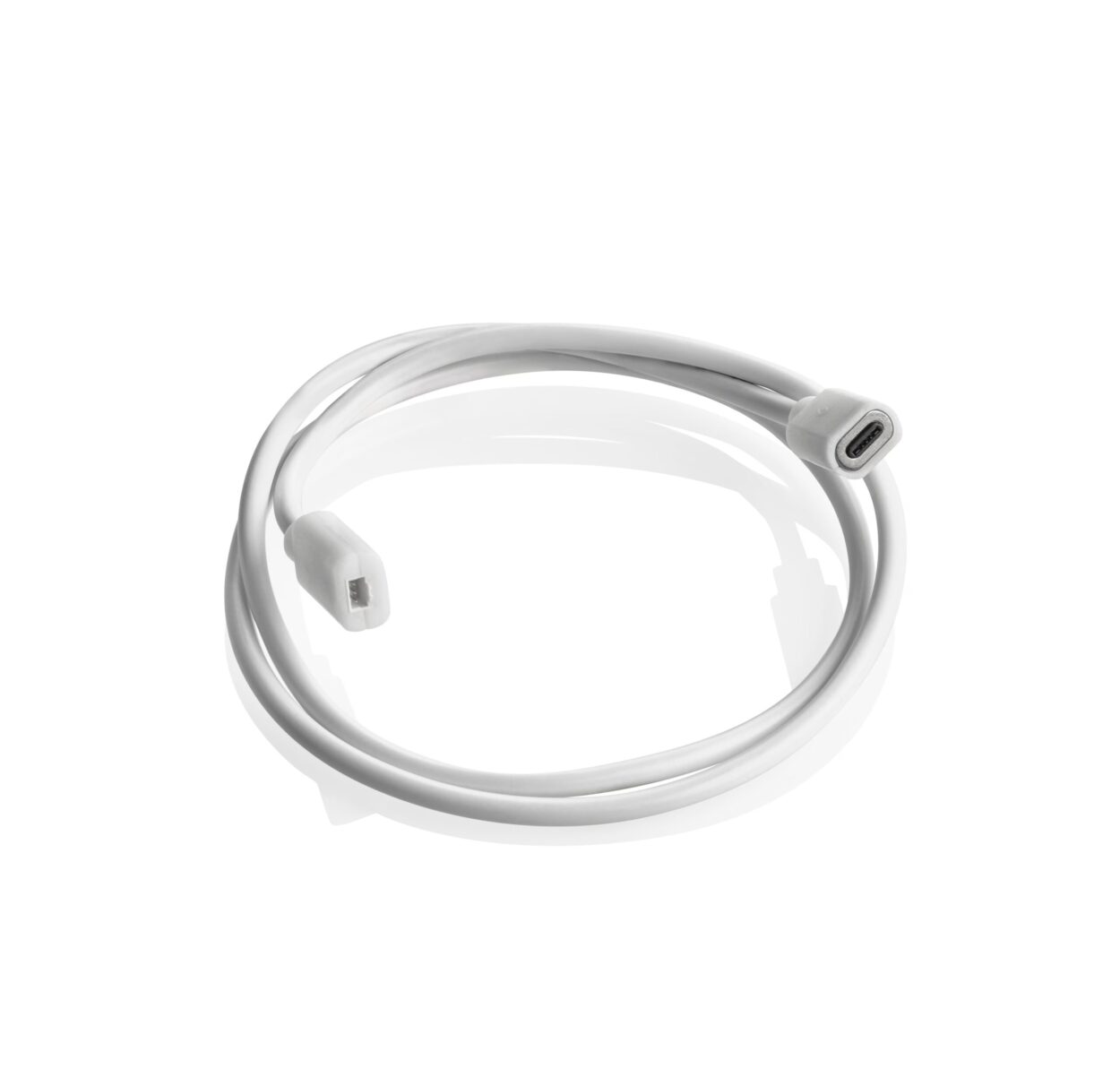 MAGNETIC CABLE LION scaled jpg