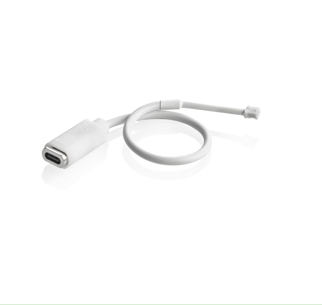 MAGNETIC CABLE LION scaled jpg